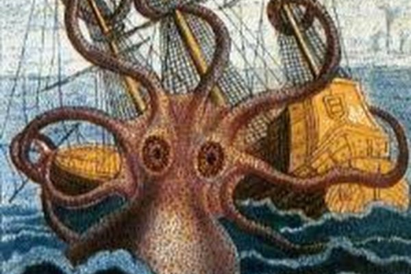 Kraken площадка