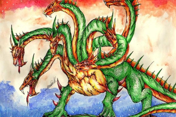 Kraken 13at