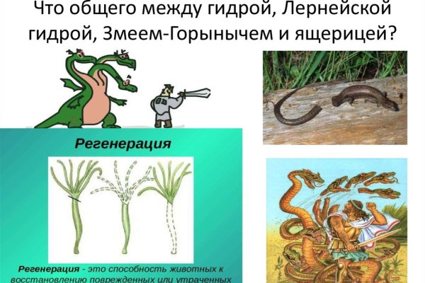 Как зарегистрироваться на кракене