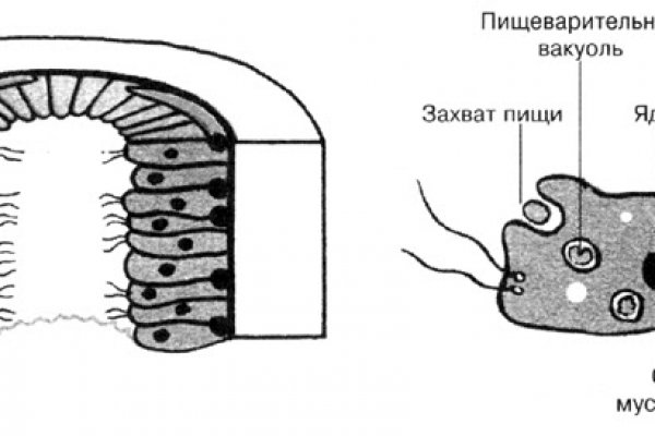 Кракен перестал работать