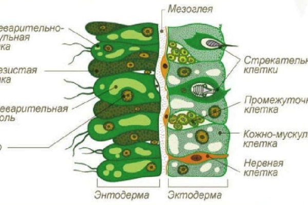 Кракен сайт покупок