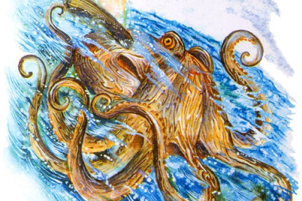 Kraken at зеркало