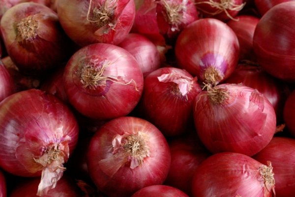 Сайт кракен официальный ссылка onion